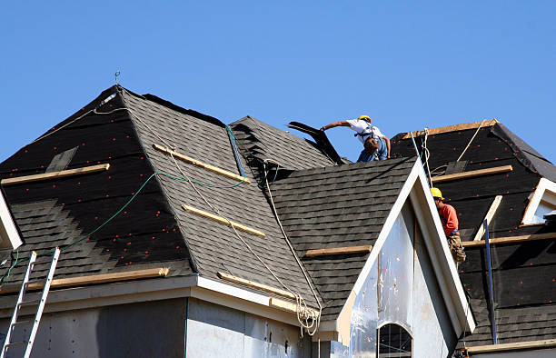 Best Shingle Roofing Installation  in Trinity, FL