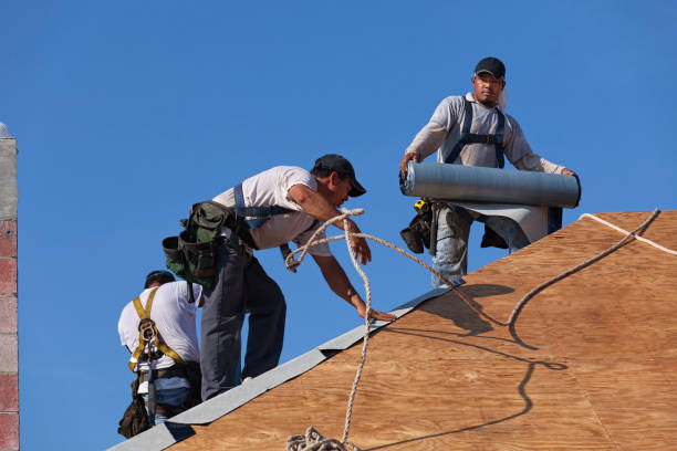 Best Commercial Roofing Services  in Trinity, FL