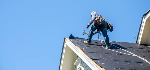 Best Commercial Roof Installation  in Trinity, FL